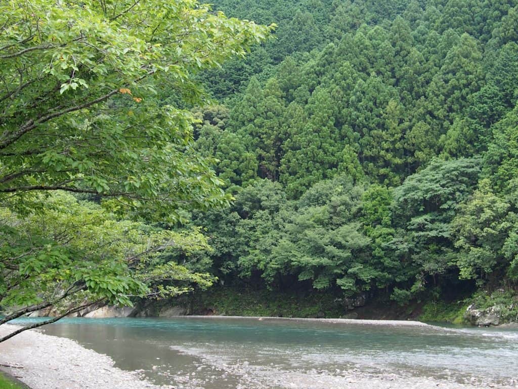 Nakahechi Trail Kumano Kodo